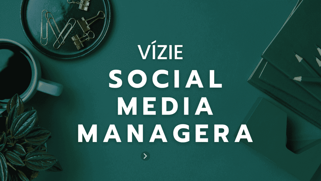 vizie social media managera